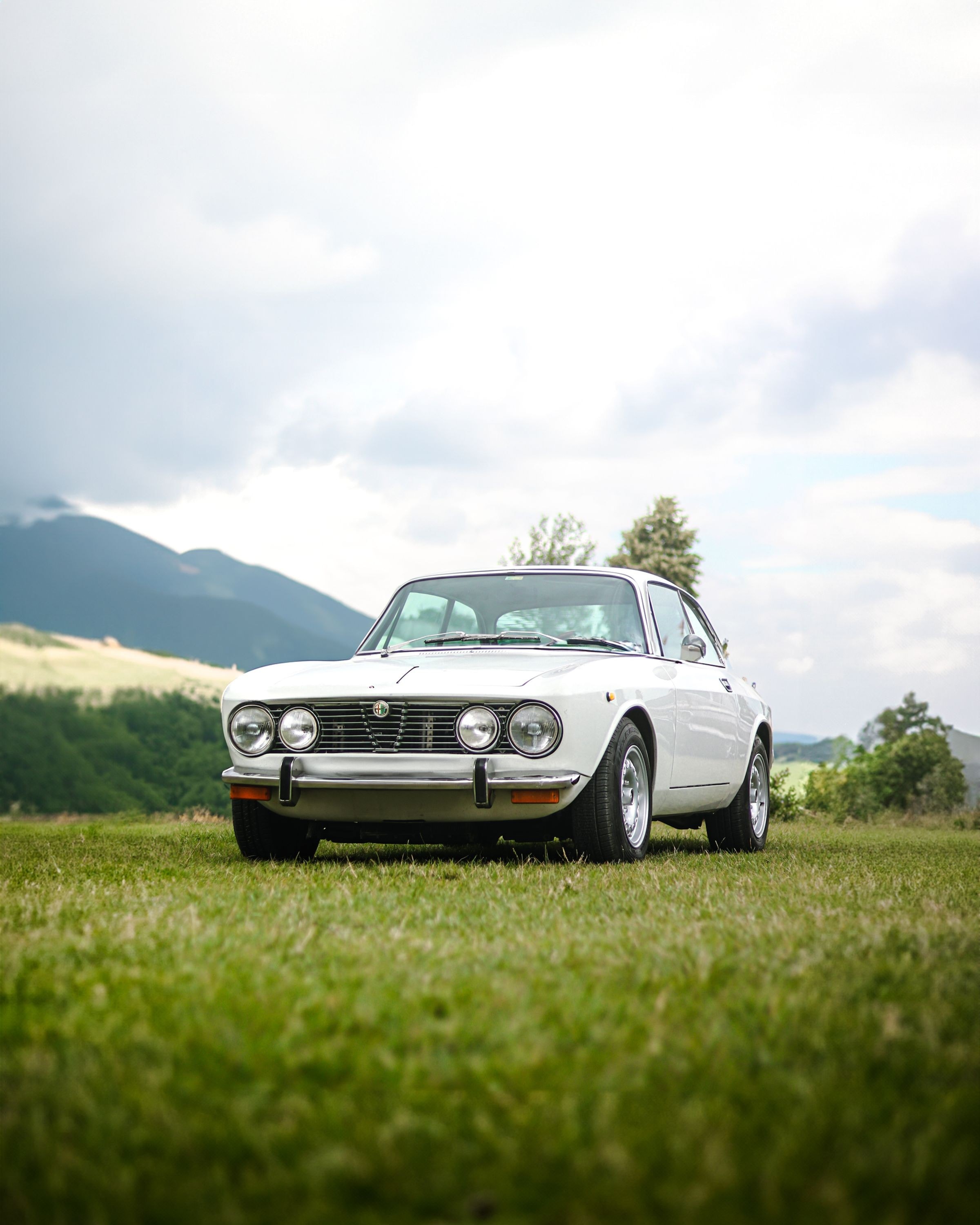 Coupé clair photographié de face dans une prairie, montagnes au loin